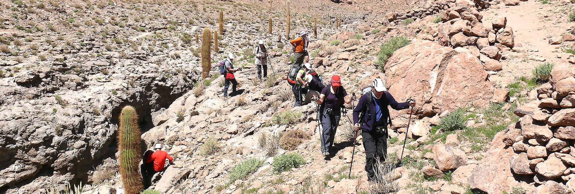 Hiking Group in the Atacama Desert