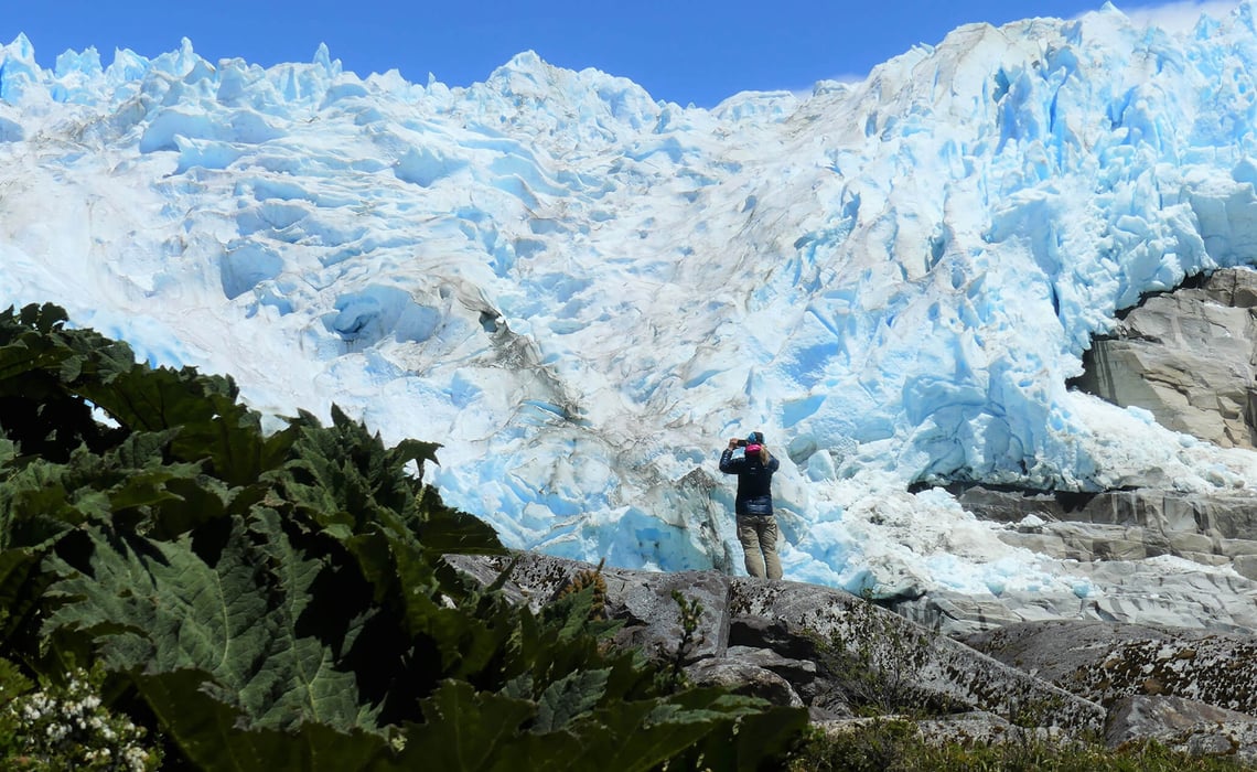 Leones Glacier