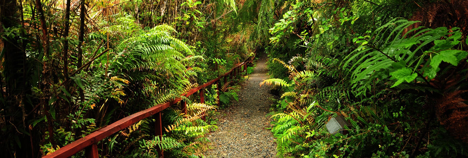 Pumalin and Yelcho Trek - Northern Patagonia