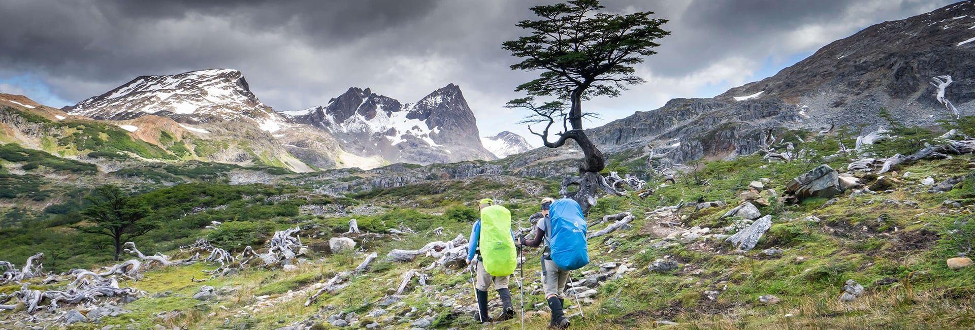 Dientes de Navarino Circuit | Tierra del Fuego