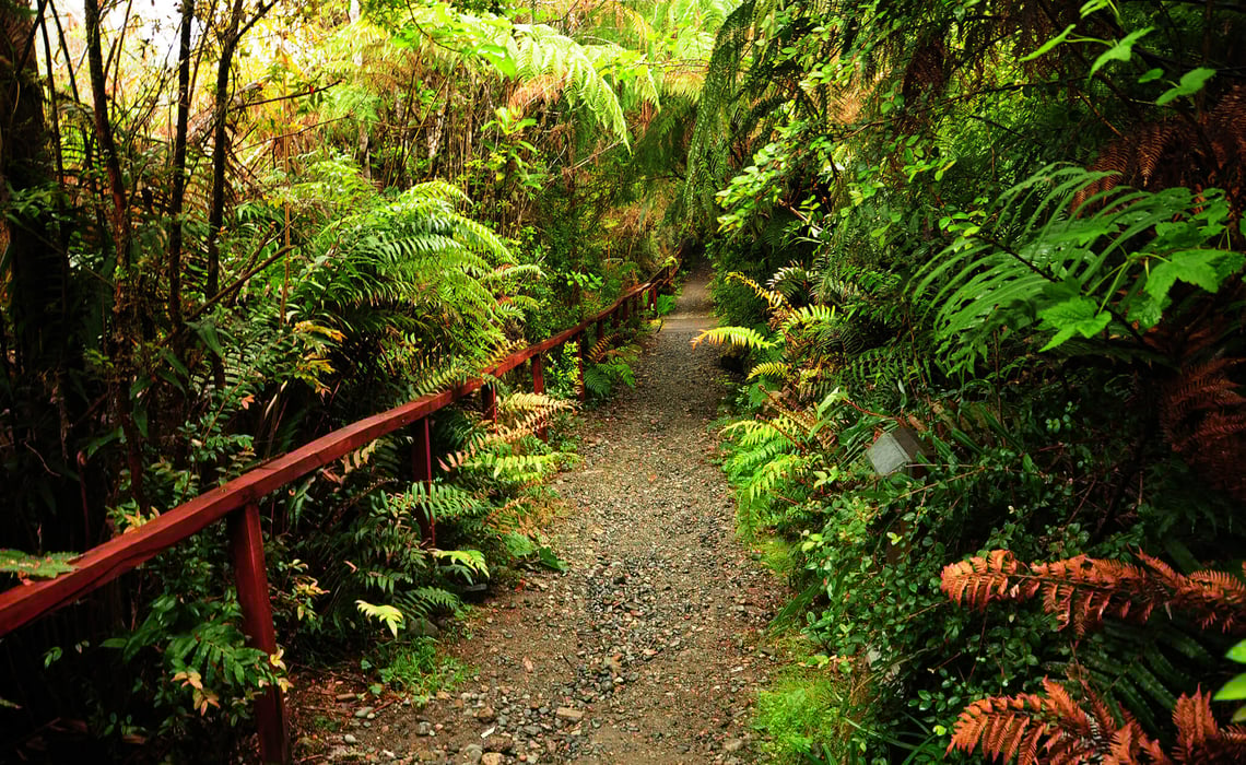 Pumalin and Yelcho Trek