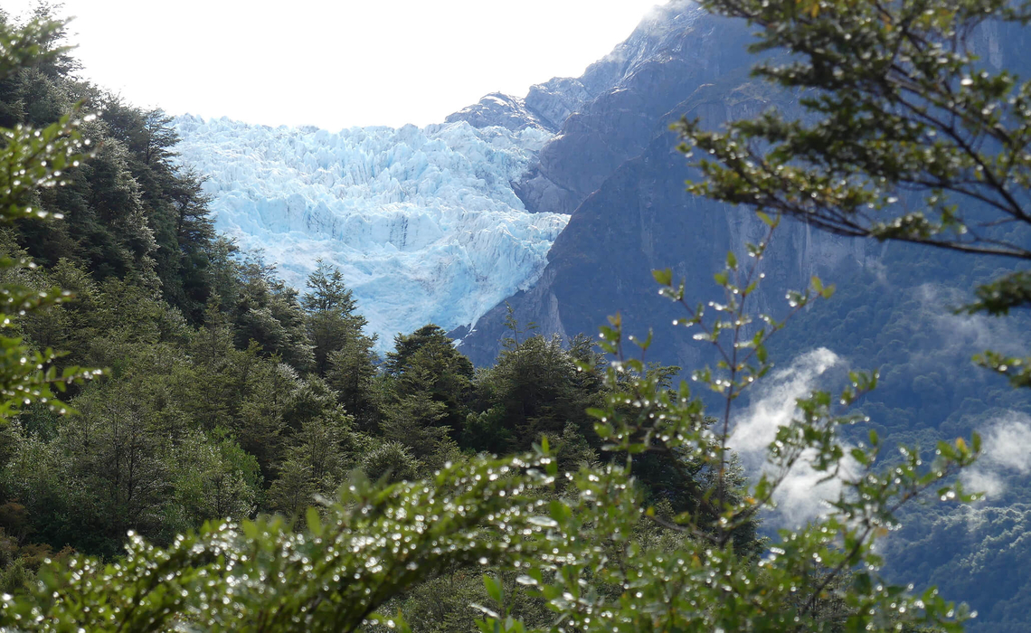 Queulat Glacier