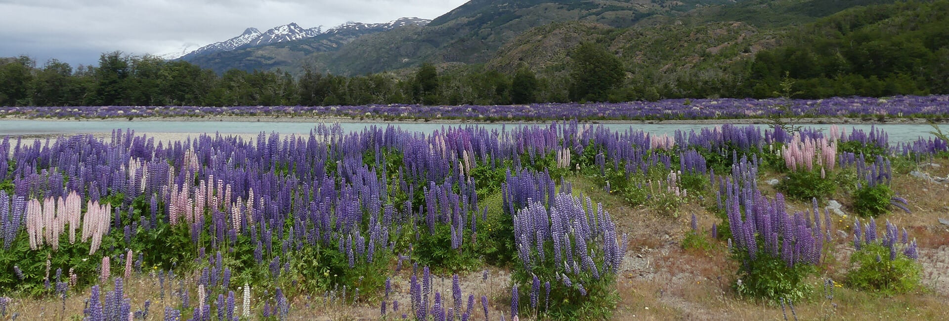 Drive and Hike Carretera Austral