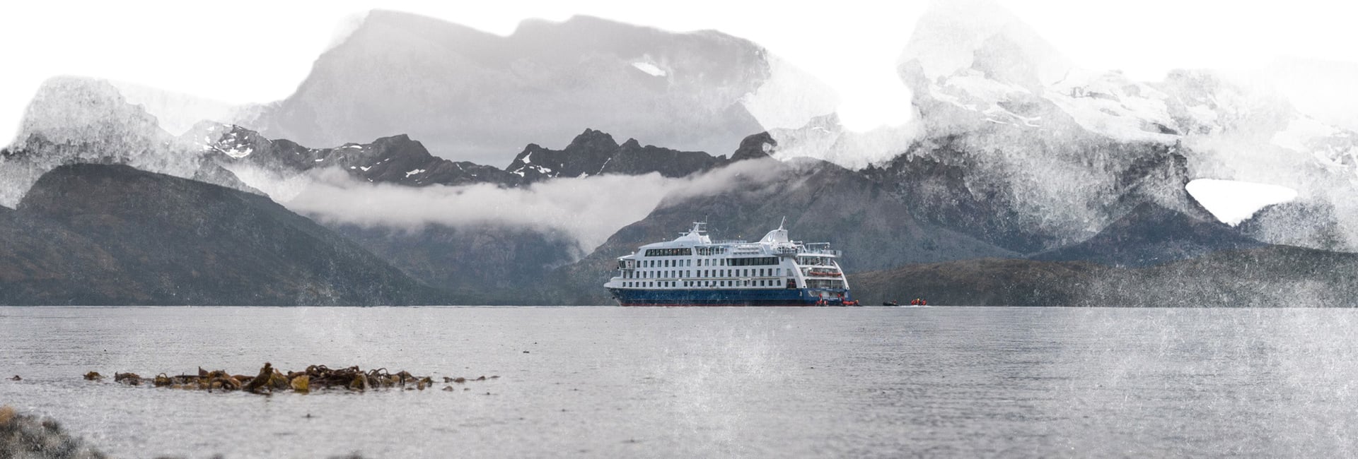 Wildlife Cruise Patagonia