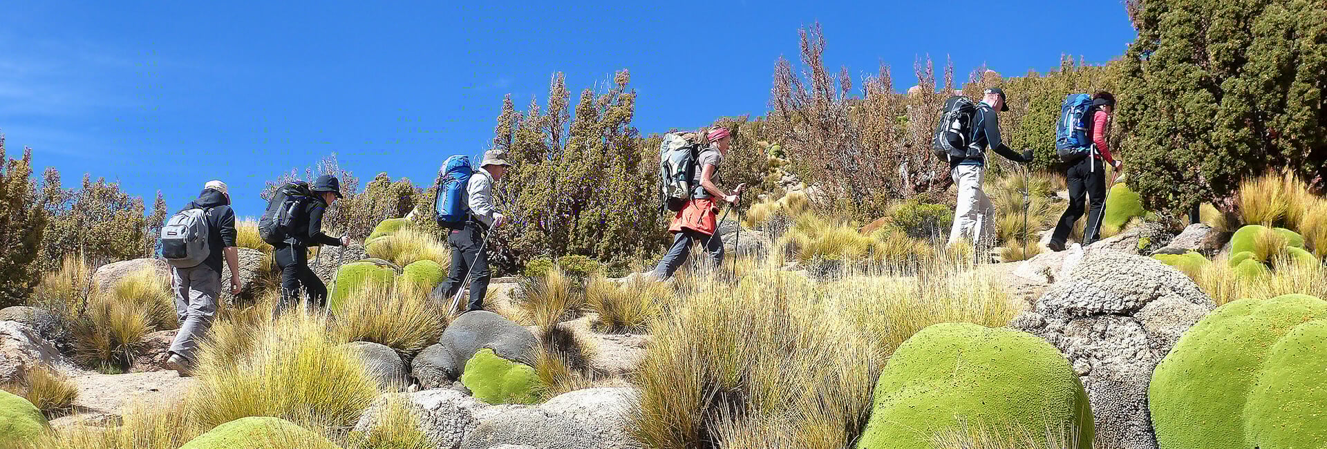 Altiplano Trekking Group Tour