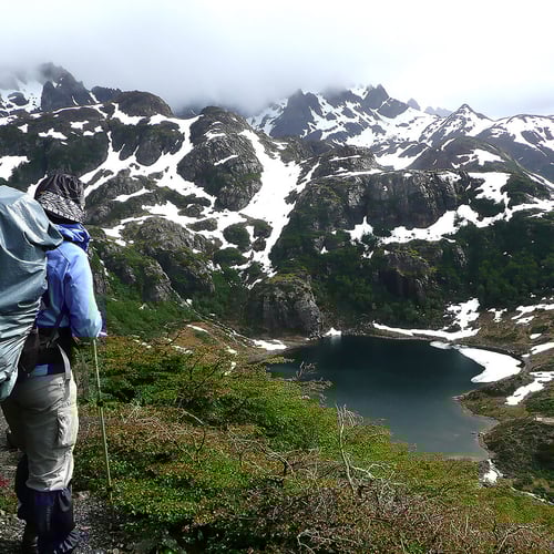 Dientes de Navarino Circuit