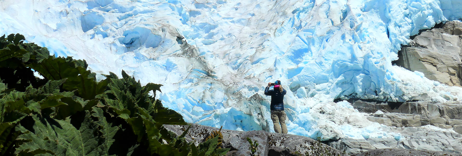 Los Leones Glacier, Northern Patagonia